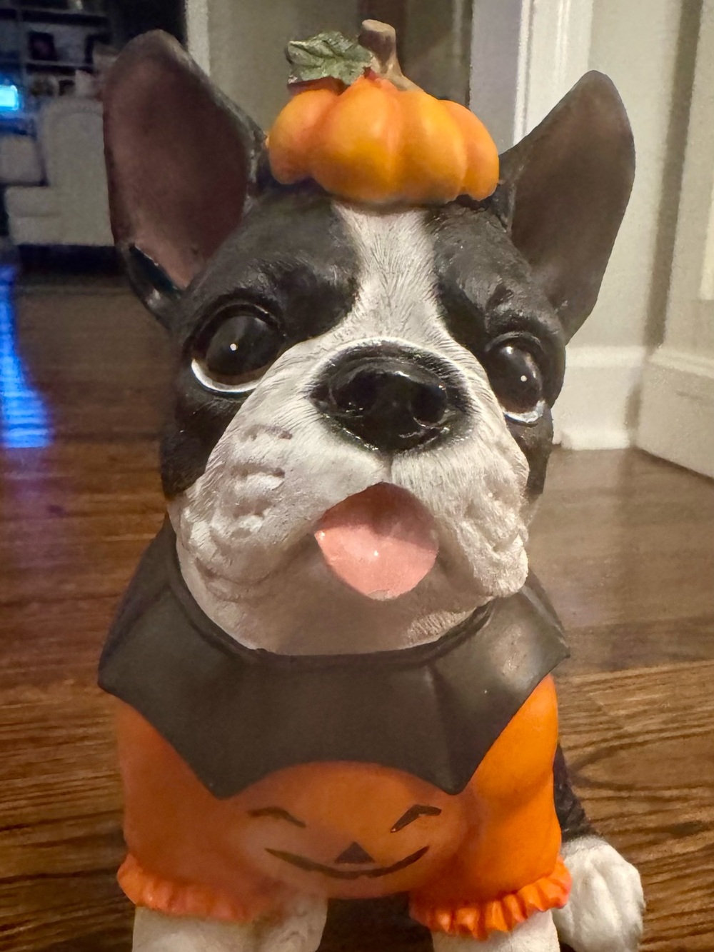Black & White Boston Terrier Dog In Pumpkin Costume Statue